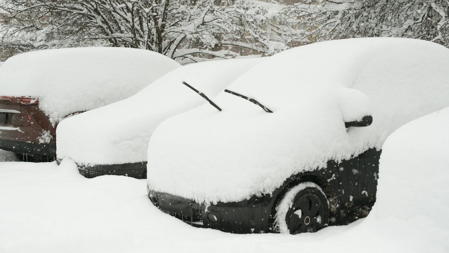 Comment Psycho Detailing assure une protection hivernale optimale