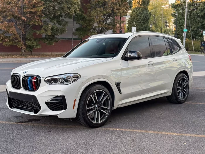 Complete exterior result after professional full car detailing